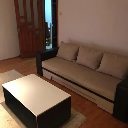 Apartment Apartament Mihaela